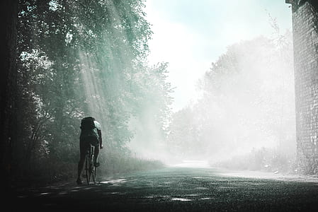man biking near trees thumbnail