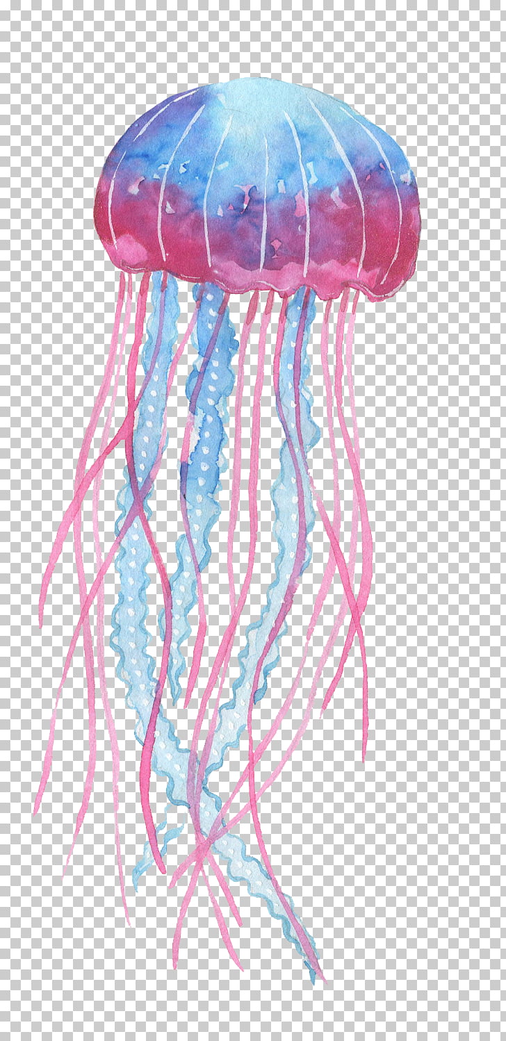 Box Jellyfish Invertebrate Deep Sea Creature Pink Cartoon