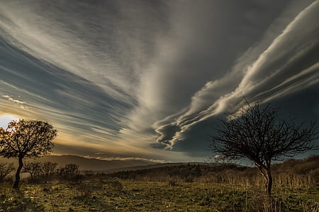 photo of green tree and clouds thumbnail