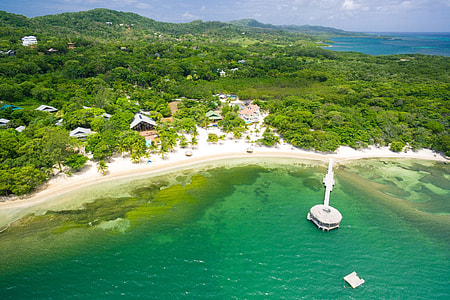 aerial photography of beach shore thumbnail