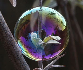 green leaves inside bubble thumbnail