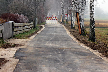 gray concrete road between trees thumbnail