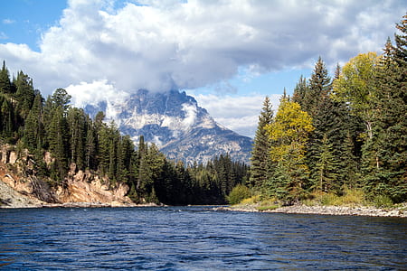 body of water between pine trees and mountain thumbnail
