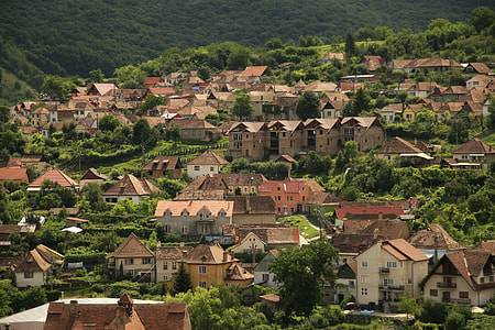 brown houses surrounded by trees thumbnail