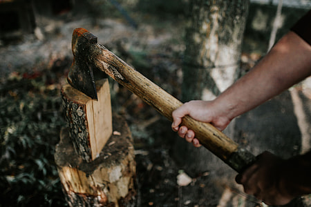 Chopping wood in the forest thumbnail