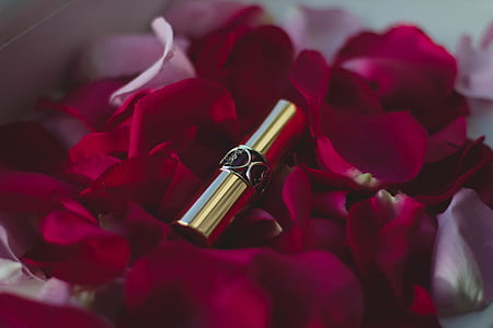 flowers, petals, colors, pink thumbnail