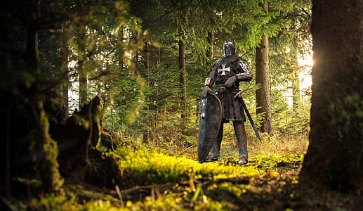 Knight standing under green trees digital wallpaper thumbnail