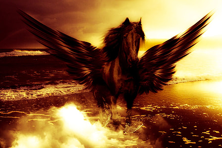 brown and black horse with wings standing on body of water painting thumbnail