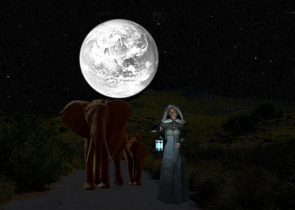nun holding lamp beside two elephants at night thumbnail