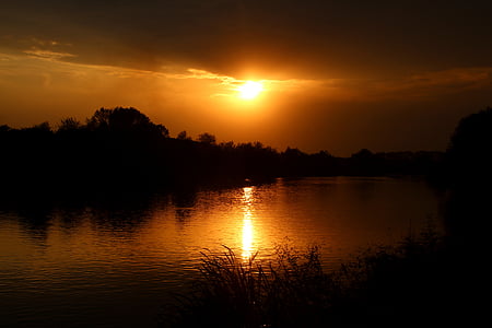 silhouette of trees under sunset thumbnail