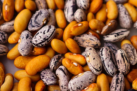 white and brown seeds thumbnail