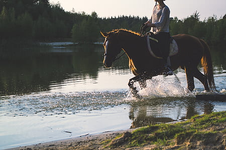 woman riding on horse walking on body of water thumbnail