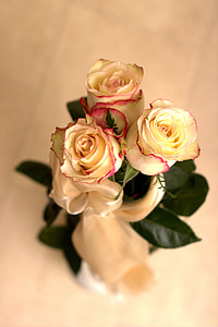three yellow roses thumbnail