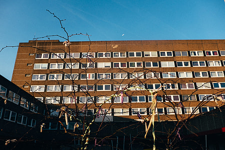 Dry branches cover the modern building thumbnail
