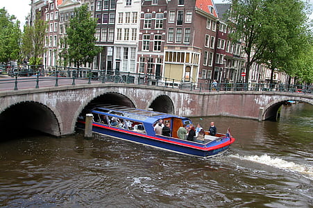 blue and red passenger boat under bridge thumbnail
