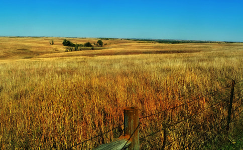 landscape photography of brown grass field and sky thumbnail