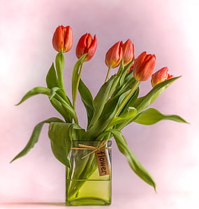 red flowers thumbnail