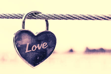 Close-up of Padlocks Hanging on Heart Shape thumbnail