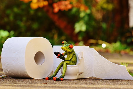 close up photography of frog sitting on toilet figurine thumbnail
