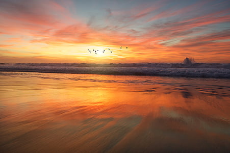 bird flying over body of water during daytime thumbnail