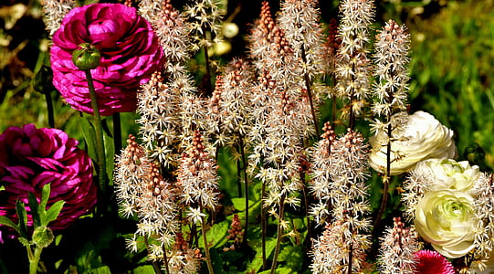 assorted-color flowers thumbnail