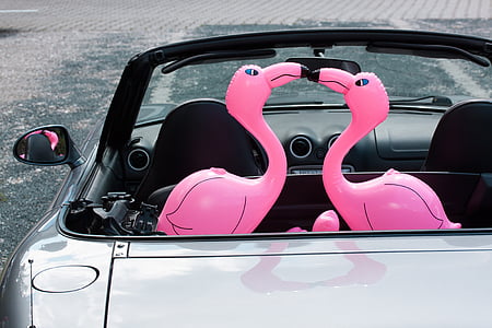 two pink inflatable flamingos on grey coupe thumbnail