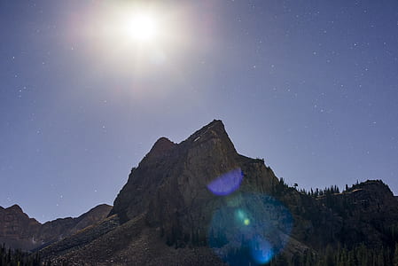 mountains covered with trees thumbnail
