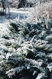 Winter freeze thumbnail