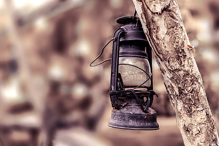 shallow focus photography of black kerosene lamp hanging on tree branch thumbnail