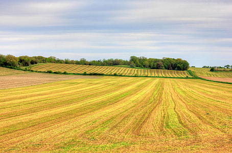 Empty farm to the horizon in Southern Wisconsin thumbnail