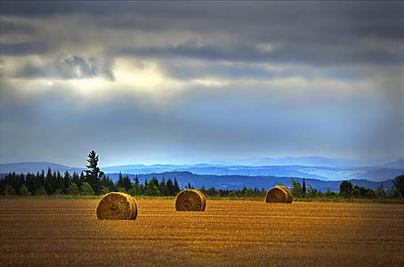 three hay stacks on brown field thumbnail