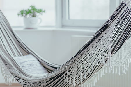 Close-up of Window at Home thumbnail