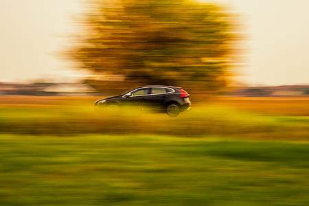 black 5-door hatchback on green grassfield thumbnail