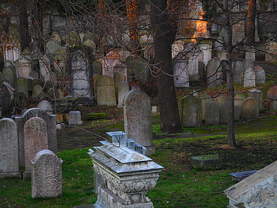 burial lot with various tombstones thumbnail