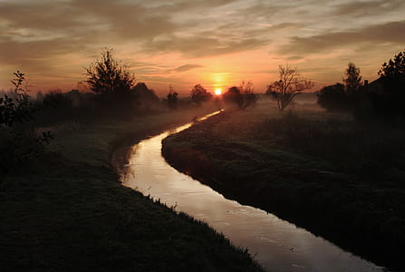 river between trees during sunset thumbnail