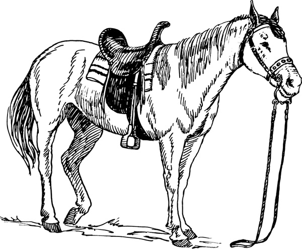 Saddled Horse Svg File Free Graphics Uihere