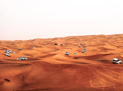white vehicles on dune at daytime thumbnail