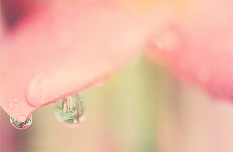water, blur, dew, raindrops thumbnail