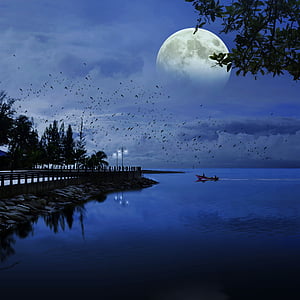 landscape shot of body of water under cloudy sky thumbnail