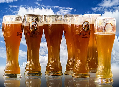 seven glass full of beers thumbnail