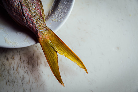 Fish thumbnail
