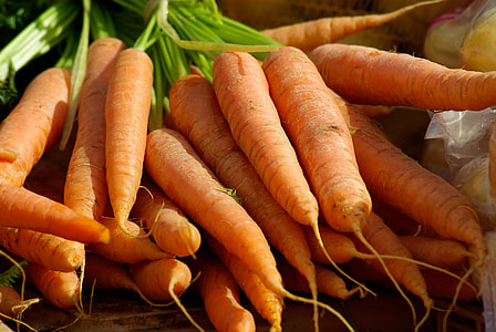 bunch of carrots thumbnail