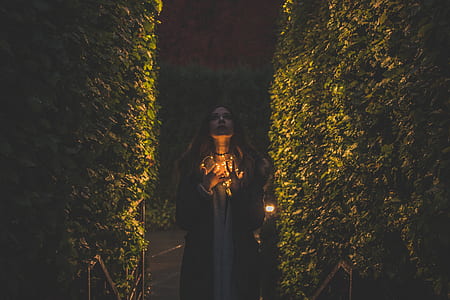 woman standing between green leaf plants at nighttime thumbnail