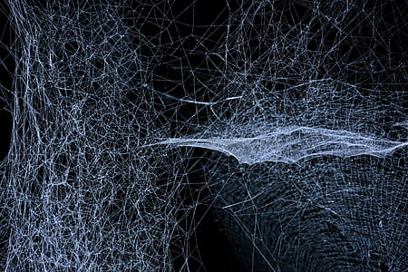 white spider web thumbnail