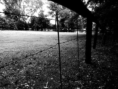 light, black-and-white, landscape, nature thumbnail