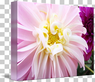 Page 4 840 Pastel Flower Png Cliparts For Free Download Uihere