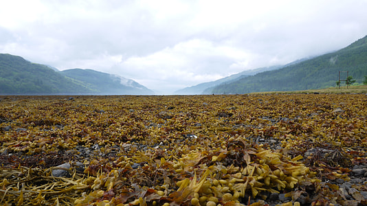 Mountain Landscape in Loch Long, Scotland. thumbnail