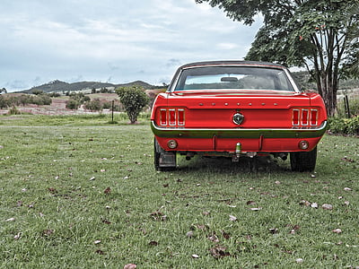 red Ford Mustang parked on green grass field during daytime thumbnail