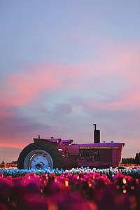 Photo of Ride-on Tractor during Sunset thumbnail