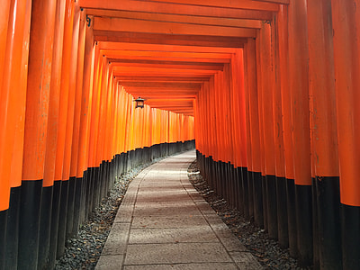 orange and black metal framed pathway thumbnail